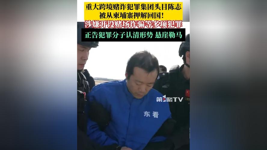出离了愤怒!喀麦隆主帅被罚上看台还不断朝场内指